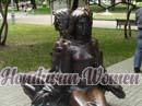 ukraine-women-citytour-1