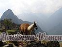 Machu-Picchu-008